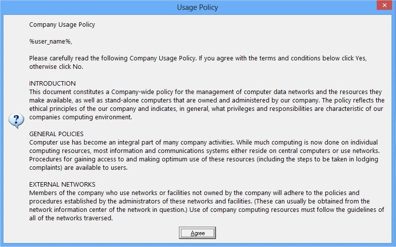 Company Usages Policy - example